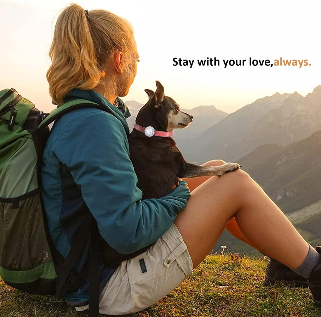SimpleThings Compatible with Airtag Cat Collar Holder