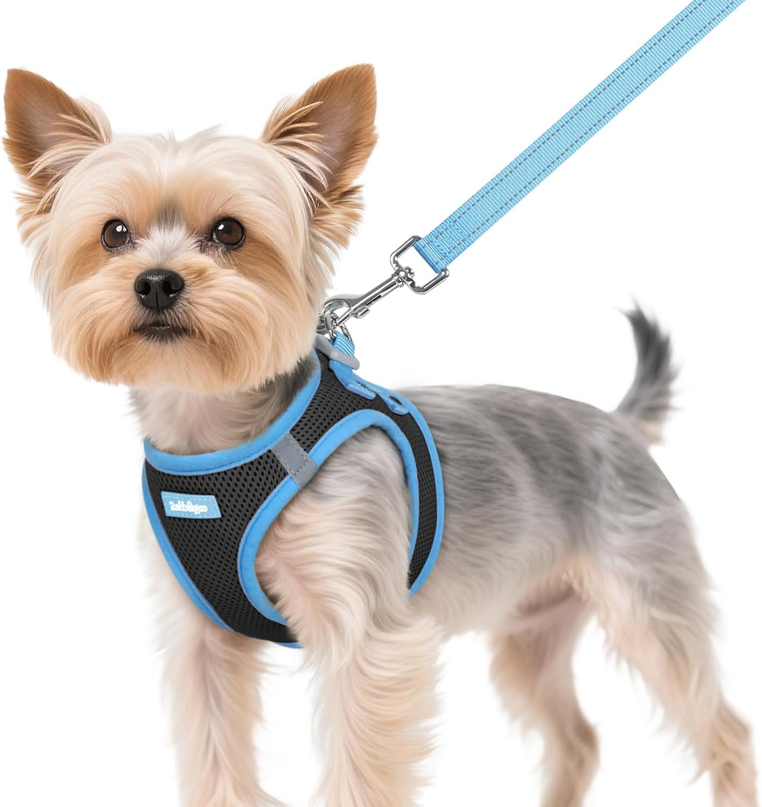 rabbitgoo Dog Harness Small Sized and Leash Set, Step in Soft Vest