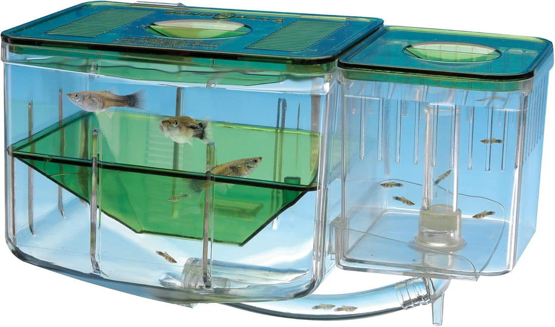 Penn-Plax AN2 Aqua Nursery and Hatchery Breeding Box for Your Aquarium