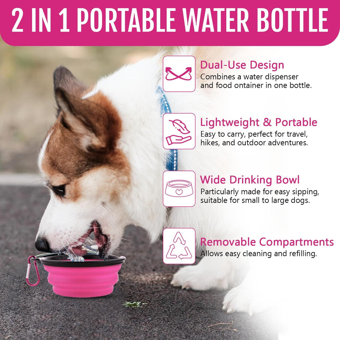 Dog Travel Water Bottle W/Collapsible Bowls