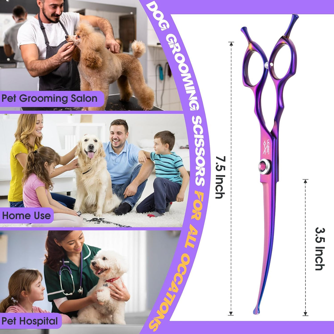 JASON Curved Dog Grooming Scissors