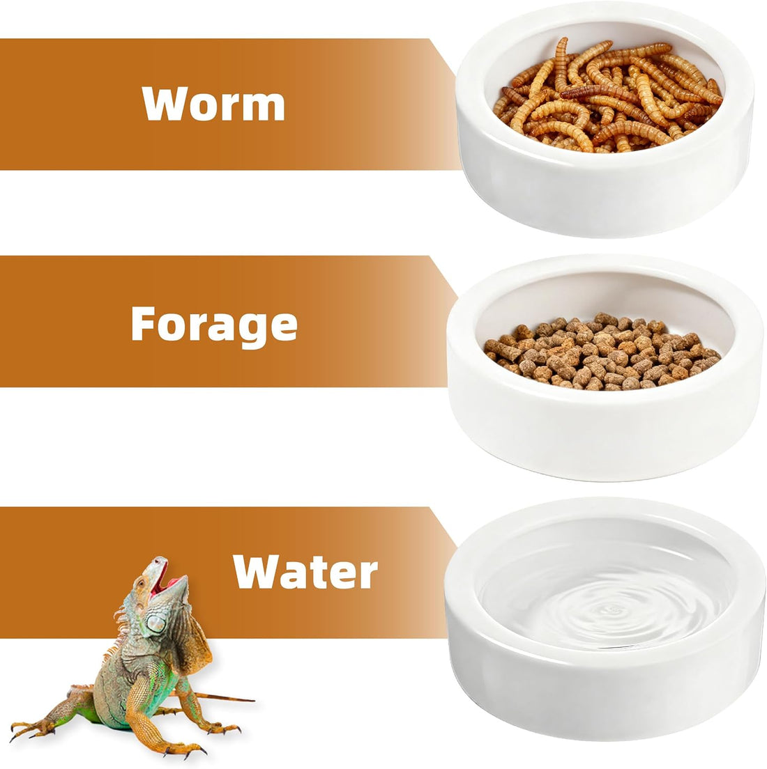 Escape-Proof Reptile Food Dish Bowl