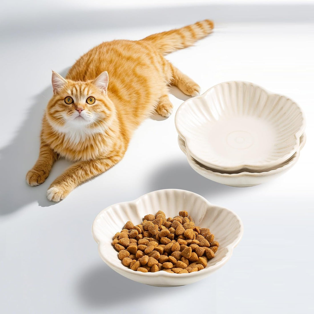 Cat Food Bowls, Ceramic Cat Plates, Dish for Food, Water and Snack