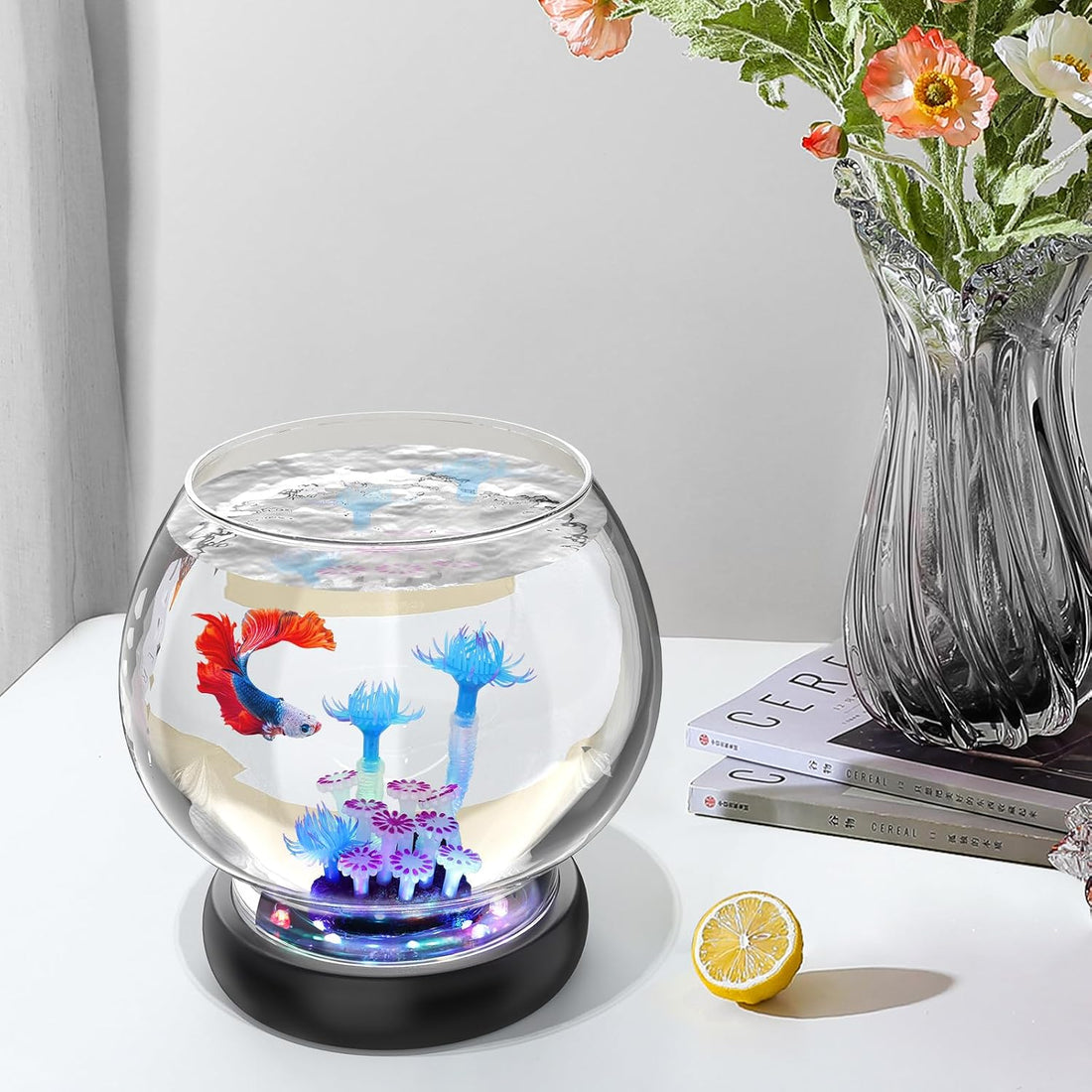 hygger 0.5 Gallon/1 Gallon Glass Fish Bowl with LED Light and Decor