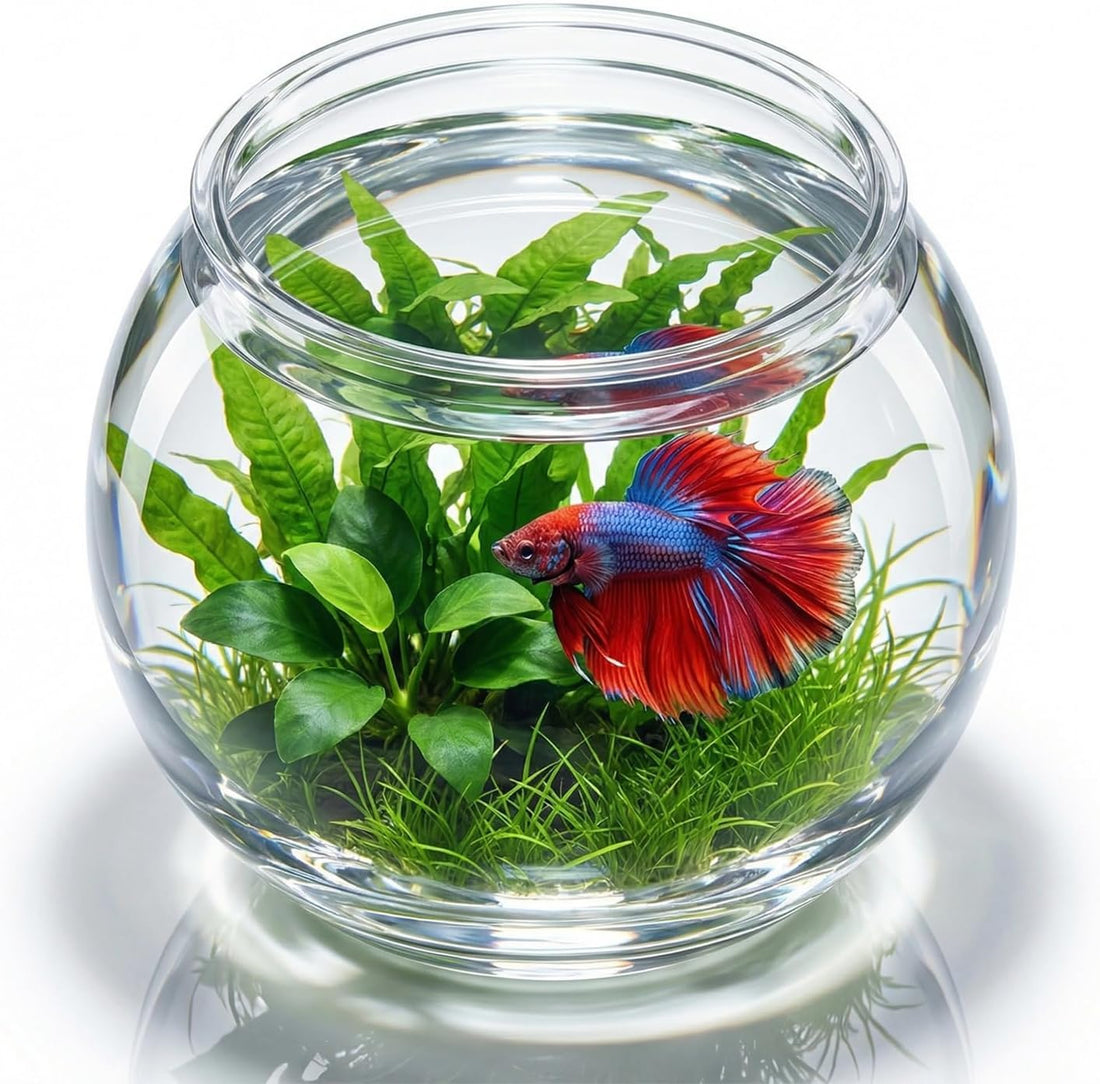 POPETPOP Plastic Aquarium Betta Fish Tank 1 Gallon Clear Goldfish