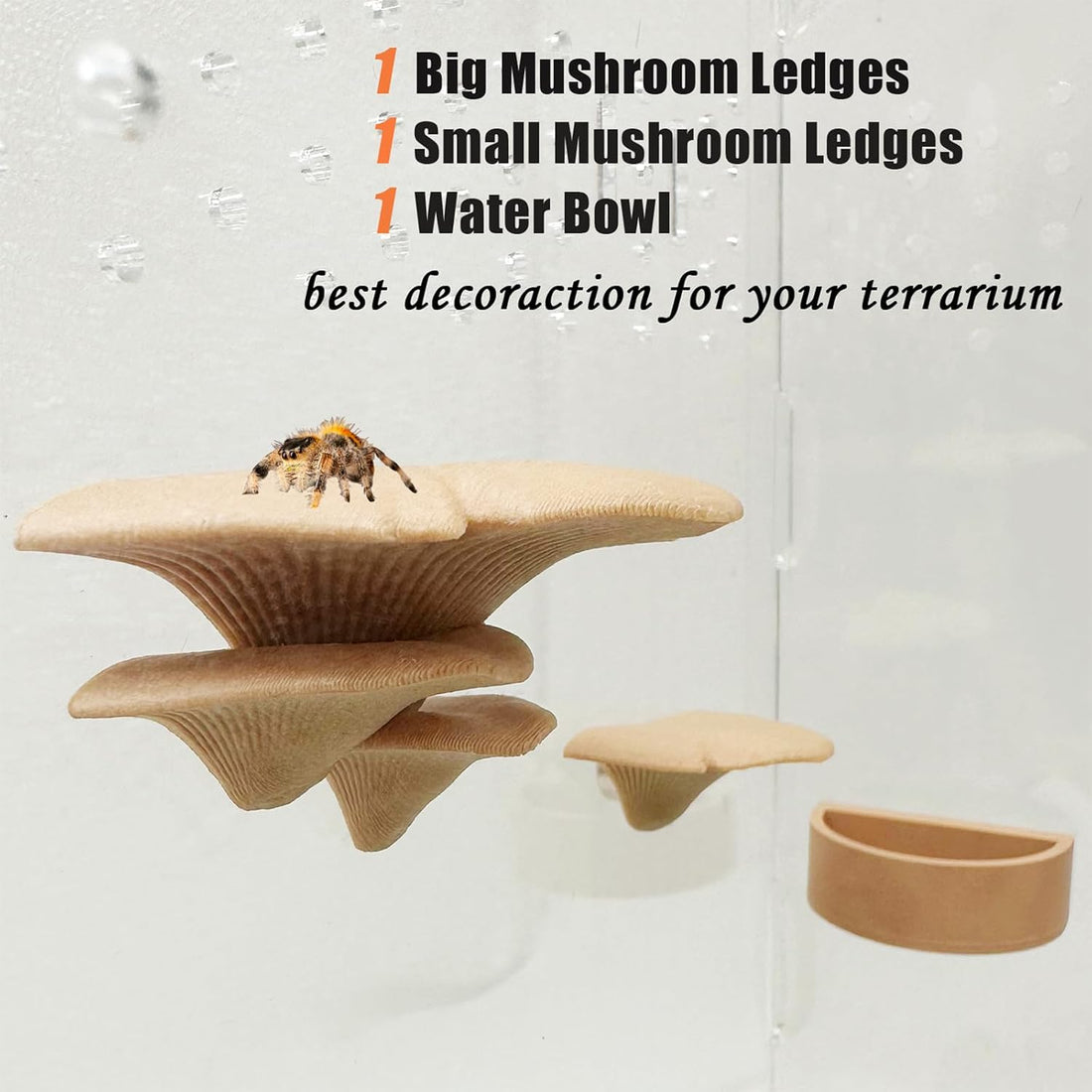 2 Pack Jumping Spider Accessories Mushroom Ledges & 1 Pack Water Bowl
