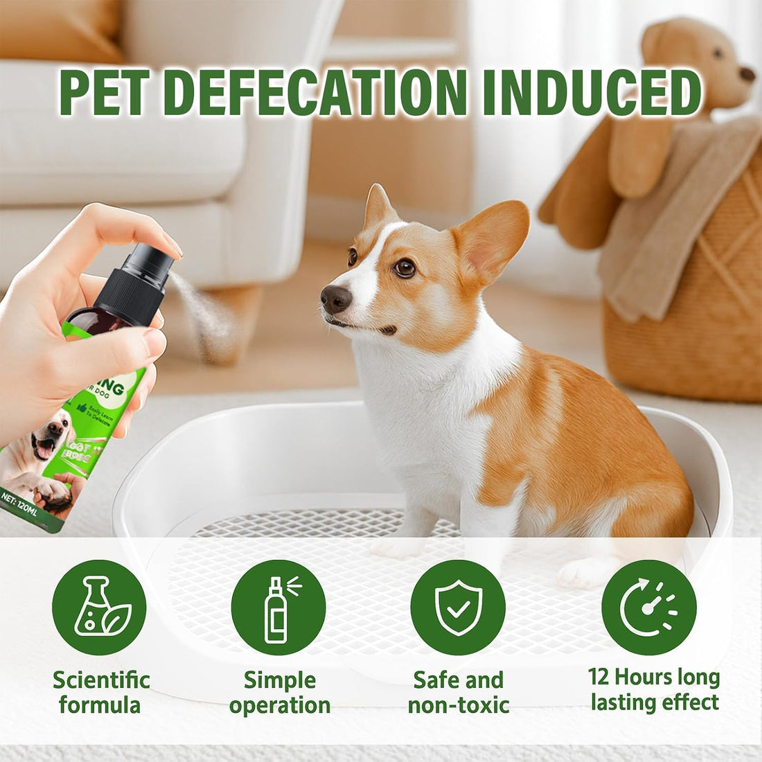 Potty Training Spray for Dogs, Indoor and Outdoor Housebreaking Aid