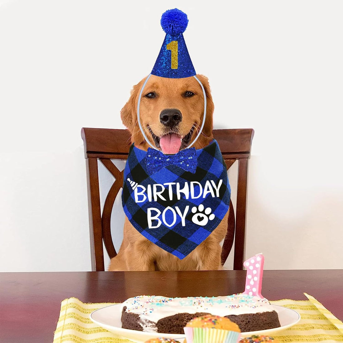 STMK Dog Birthday Party Supplies