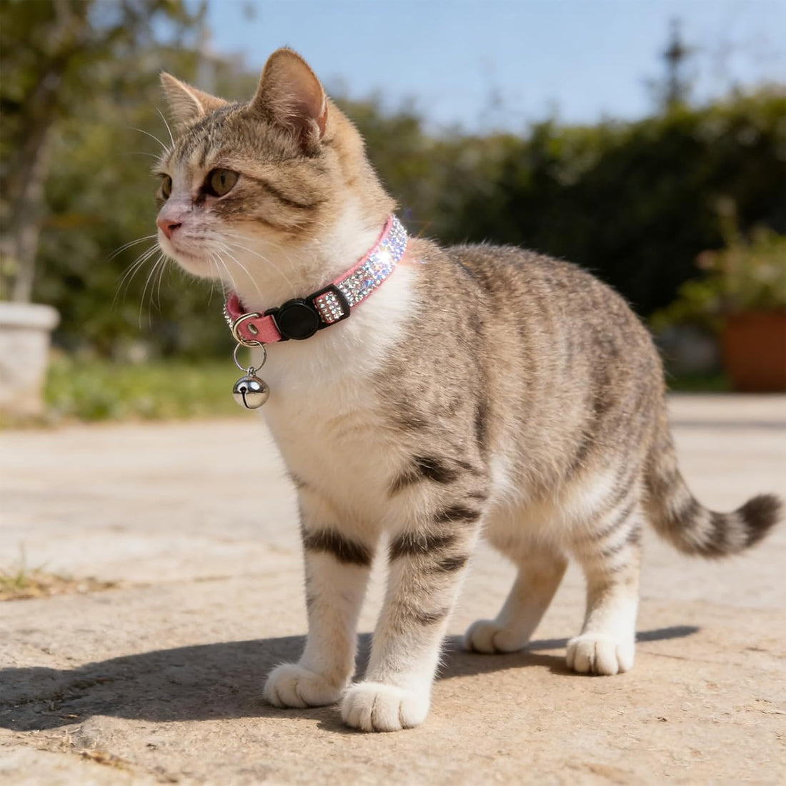 Rhinestone Cat Collar Breakaway, Soft Velvet Cat Collars with Bell