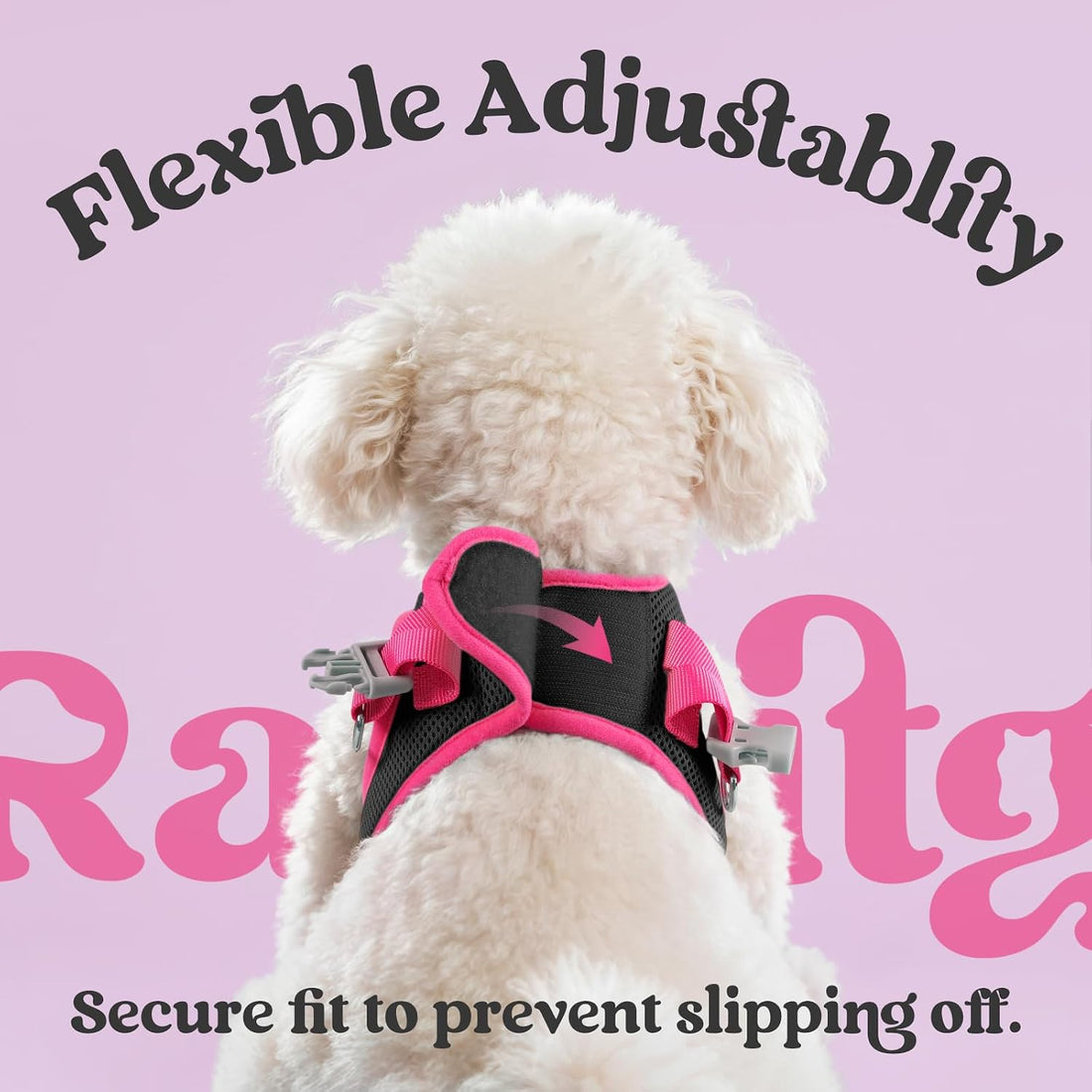 rabbitgoo Dog Harness Small Sized and Leash Set