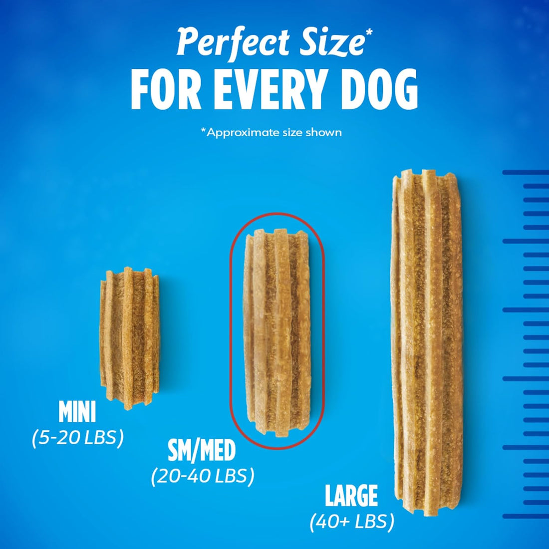 DentaLife Daily Oral Care Dog Treats for Small and Medium Dogs