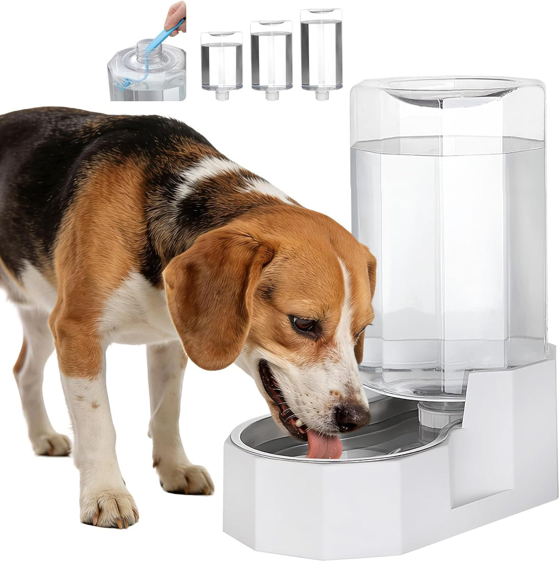 Sfozstra 7L Raised Dog Water Dispenser: Comfortable Drinking