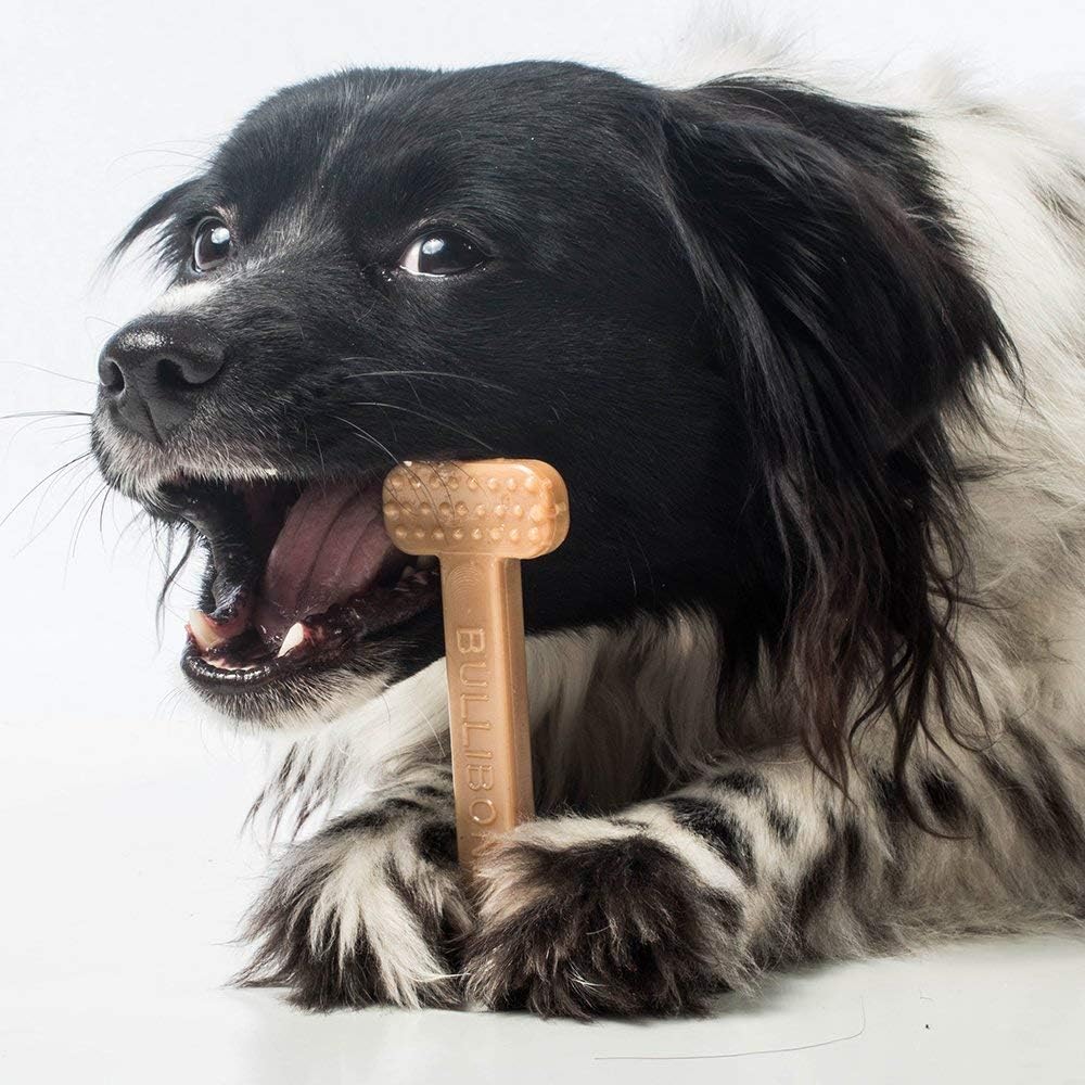Bullibone Nylon Dog Chew Toy for Aggressive Chewers
