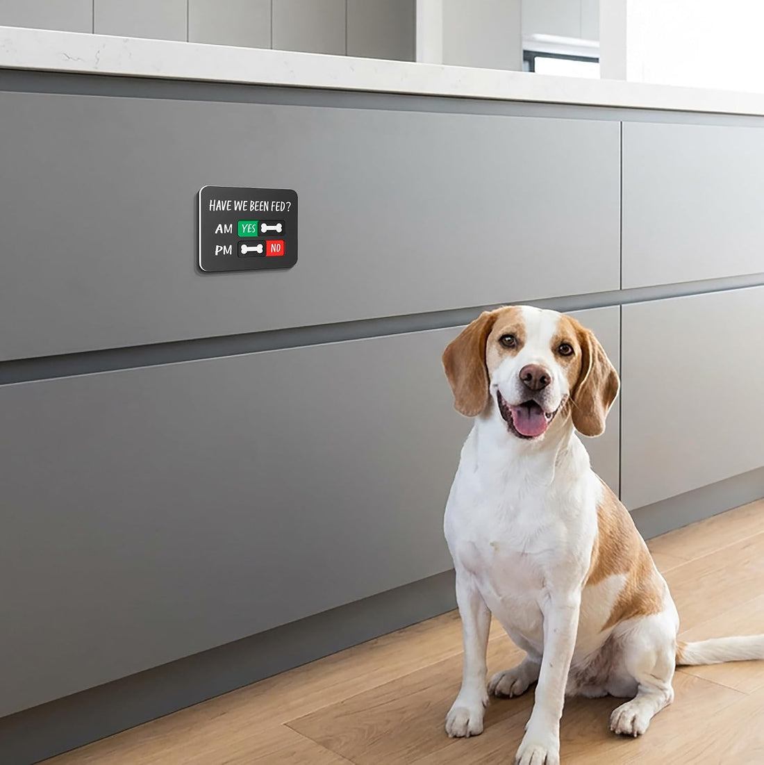 Dog Fed Sign with Magnet, AM/PM Dog Feeding Reminder Sign with 3D