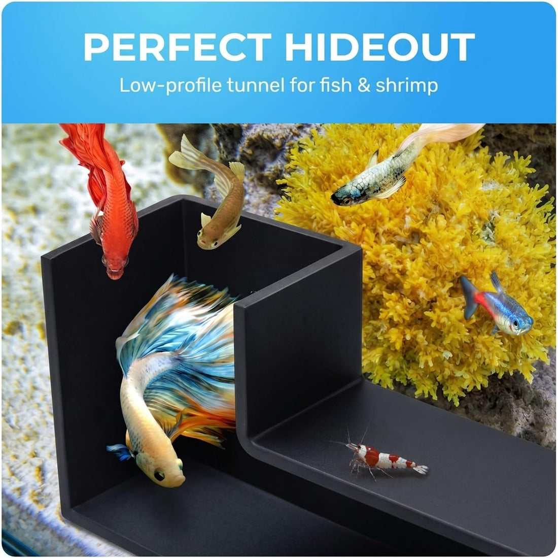 Aquarium Underground Tunnel 5"