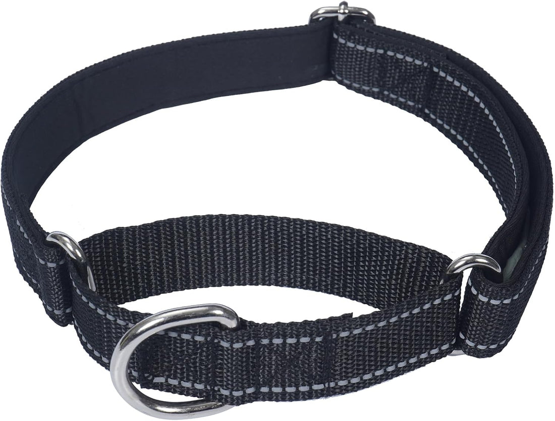 SGODA Martingale Dog Collar, Blue, M