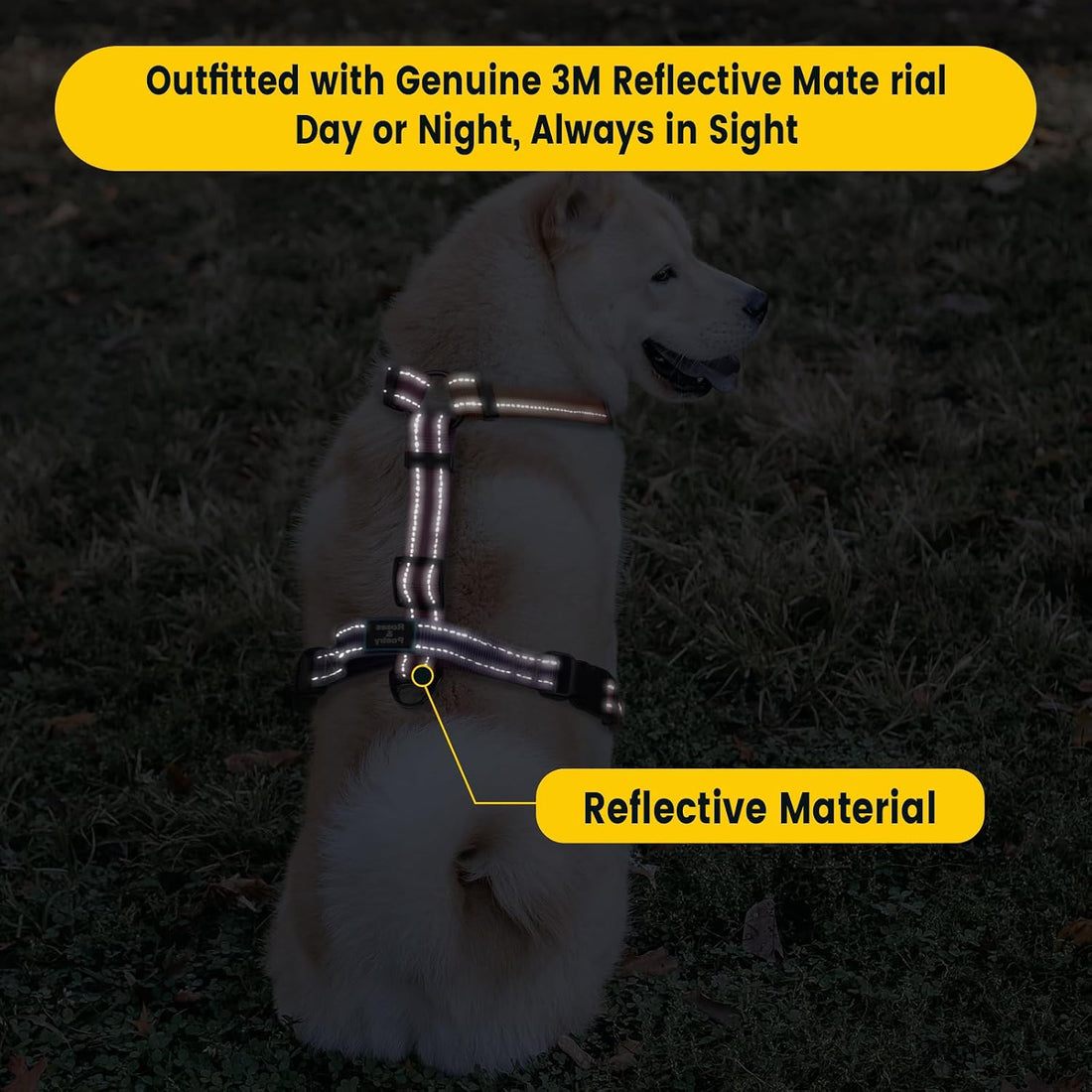Roses&Poetry Dog Harness with Leash, No Pull Adjustable Harness Leash
