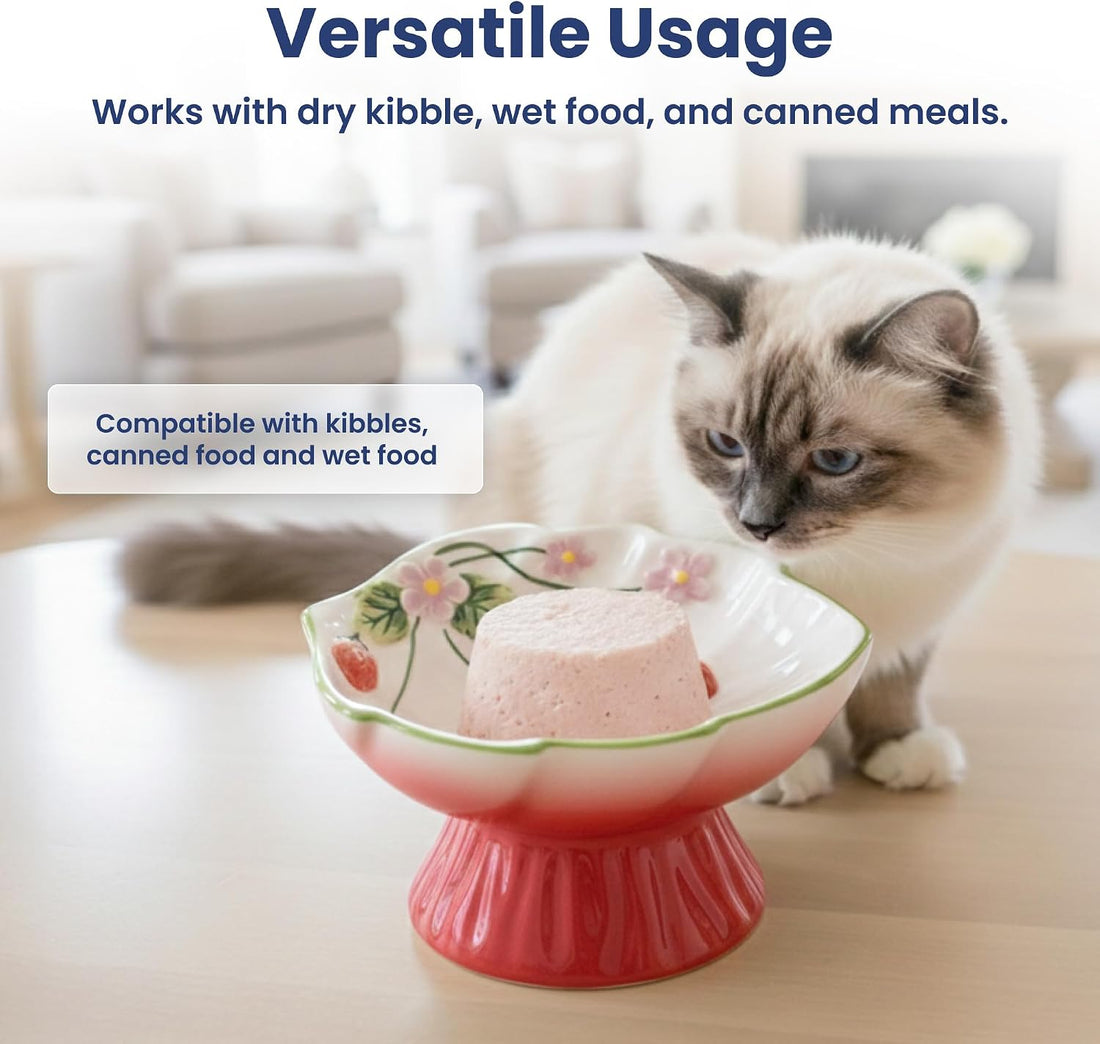 Elevated Cat Food Bowl with Strawberry Blooms by PawsPik