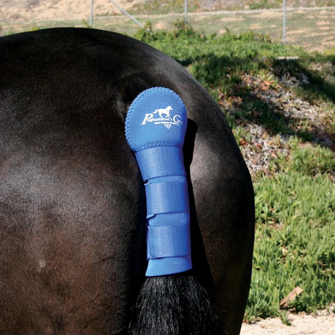 PROFESSIONAL'S CHOICE Horse Tail Wrap with Padded Protection