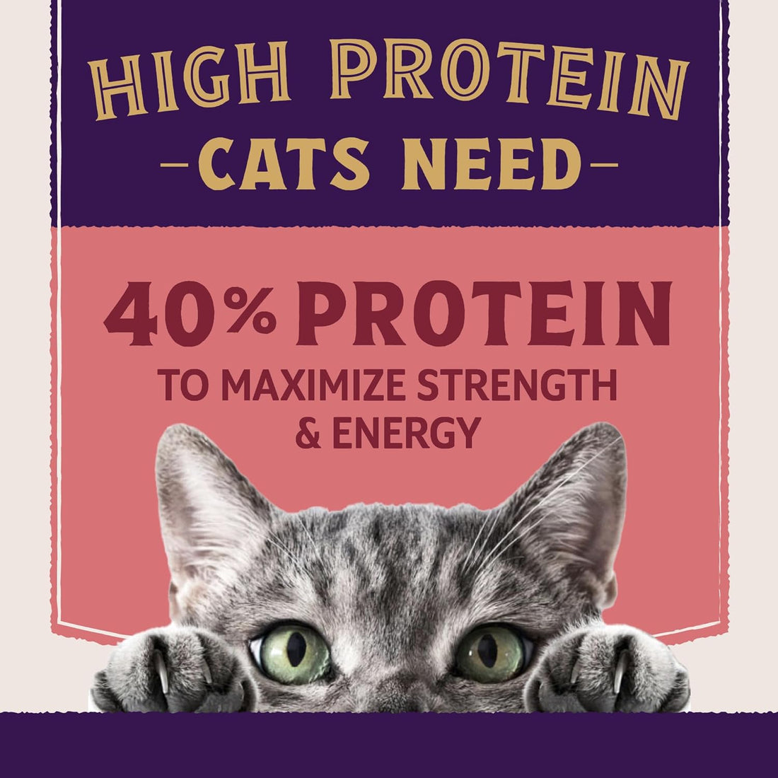 Natural Balance Ultra Protein Plus, Real Salmon & Chicken Meal, 5 lb