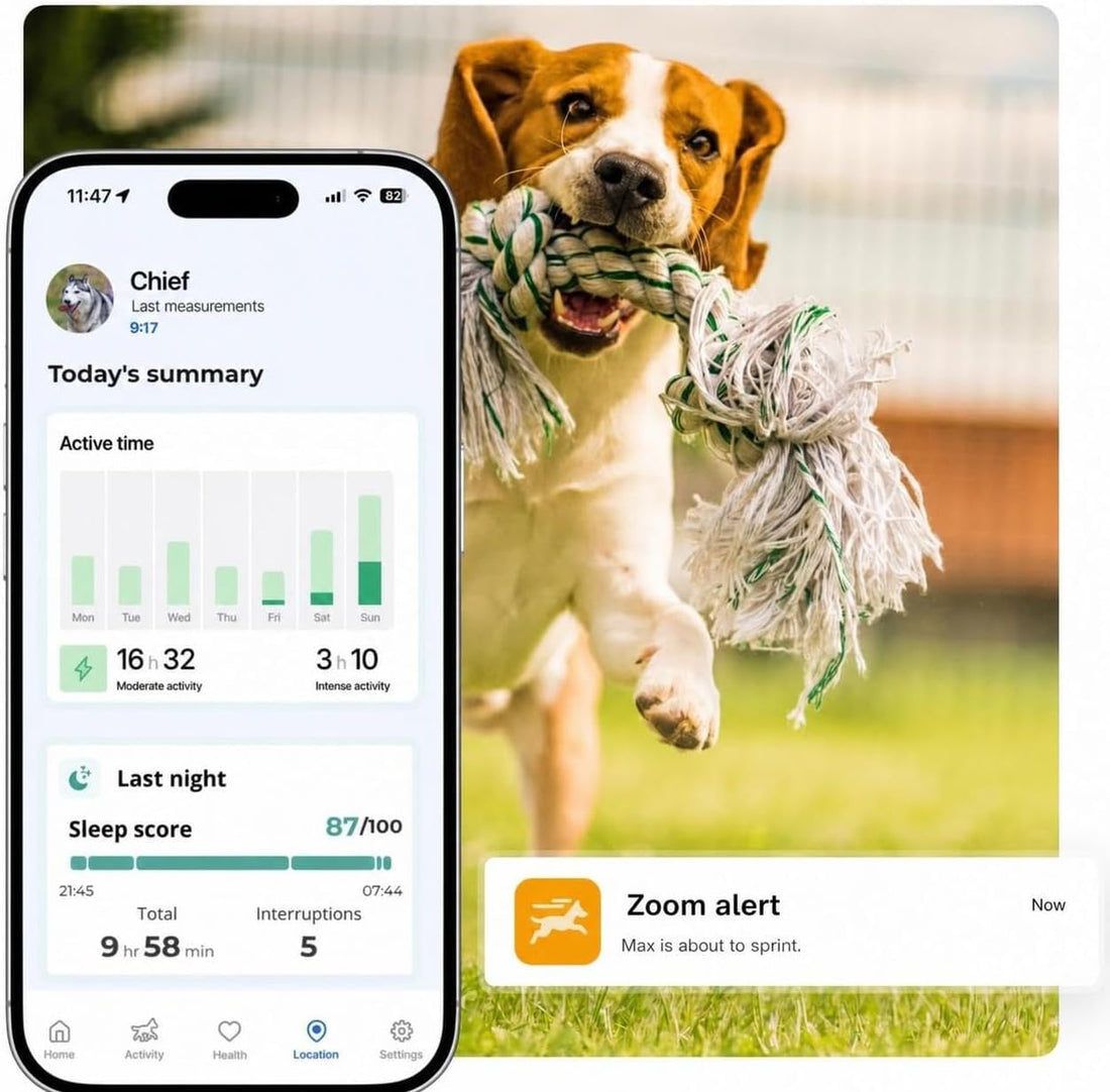 Invoxia Biotracker 2026 Edition - Health and GPS Tracker for Dogs