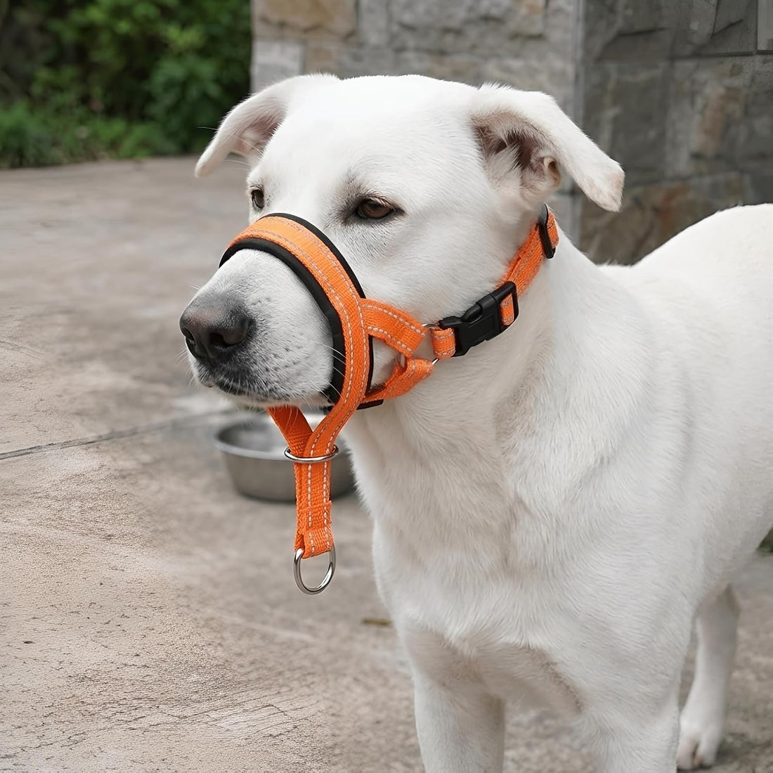 Adjustable Dog Headcollar Muzzle, Nylon, Orange