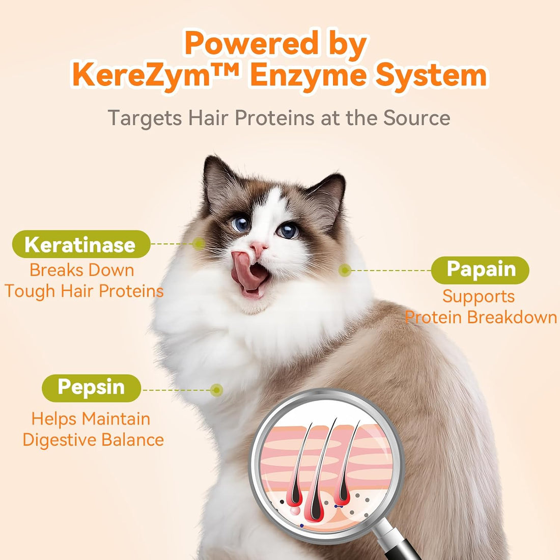 PUAINTA Cat Hairball Control – Alternative to Hairball Gel & Paste