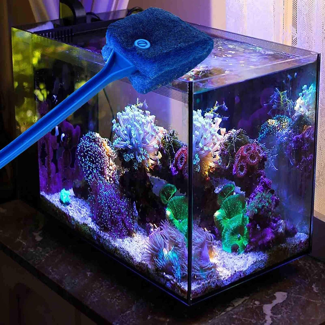 3 PCS Double-Sided AOODOOM Aquarium Fish Tank Algae Cleaning Brush