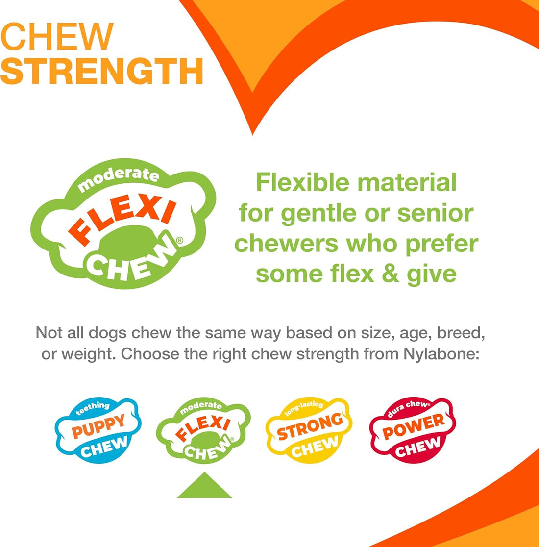 Nylabone Textured Dental Bone Flexi Chew Toy for Dogs