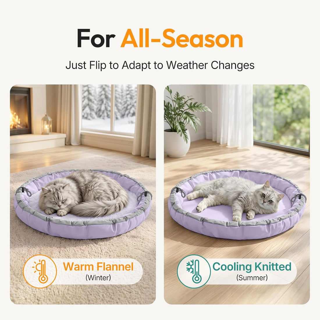 Cat Bed for Indoor Kitten Bed Washable
