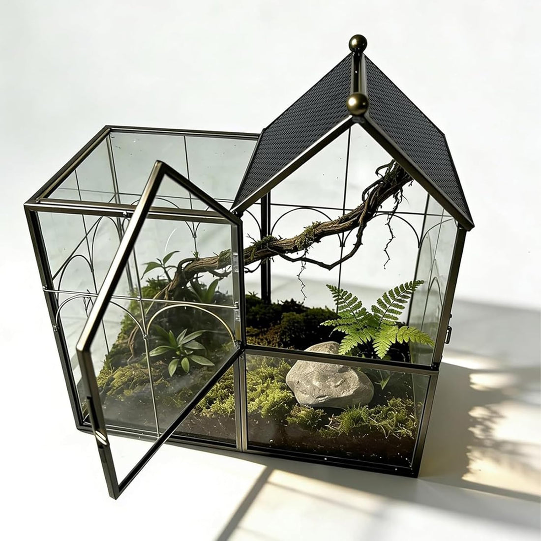 Ready-to-Use Glass Terrarium with Vents