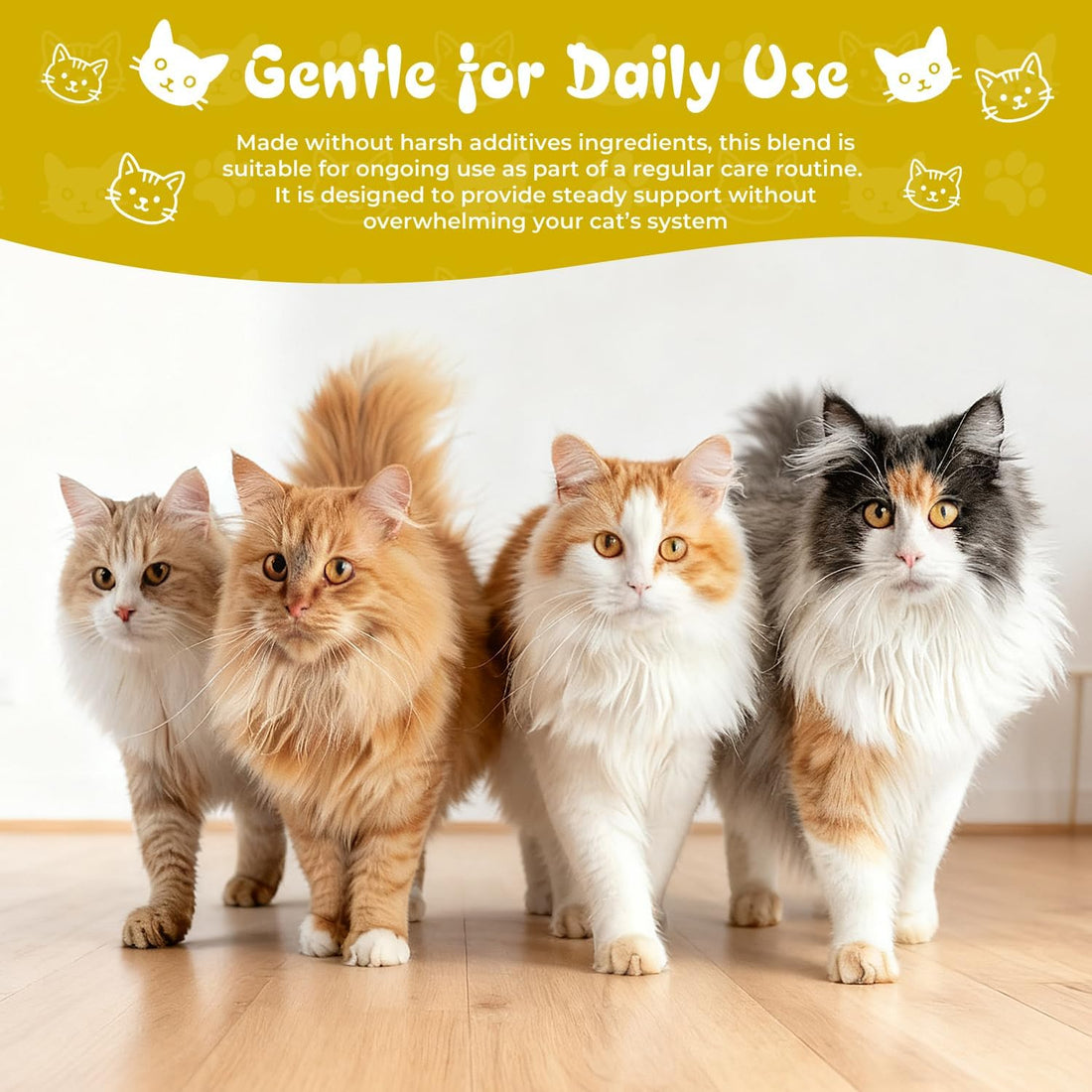 Mange Treatment Cats, Cat Mange & Itchy Skin Relief