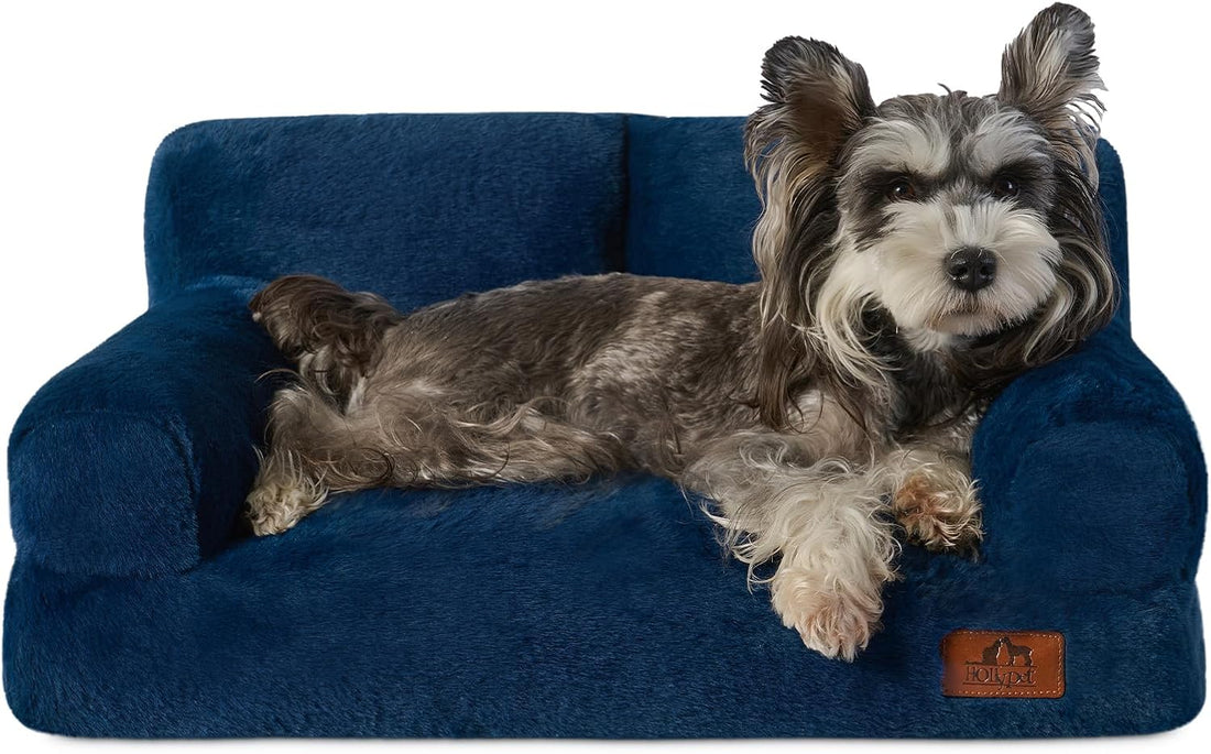 Hollypet Small Dog Large Cat Bed Puppy Couch Beds for Pets up to 25