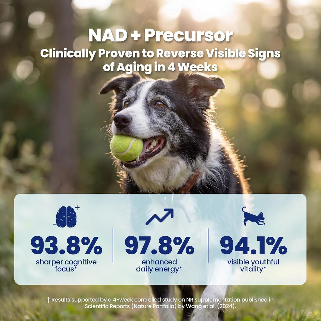 Boops Pets NAD+ Precursor & Senior Dog Supplement - 90 Soft Chews