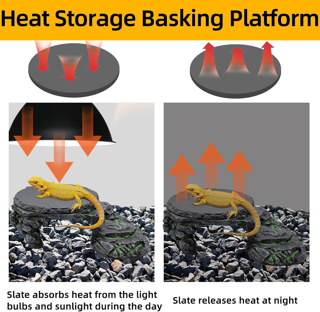 Reptile Basking Platform Gecko Hide Juvenile Beared Dragon Tank