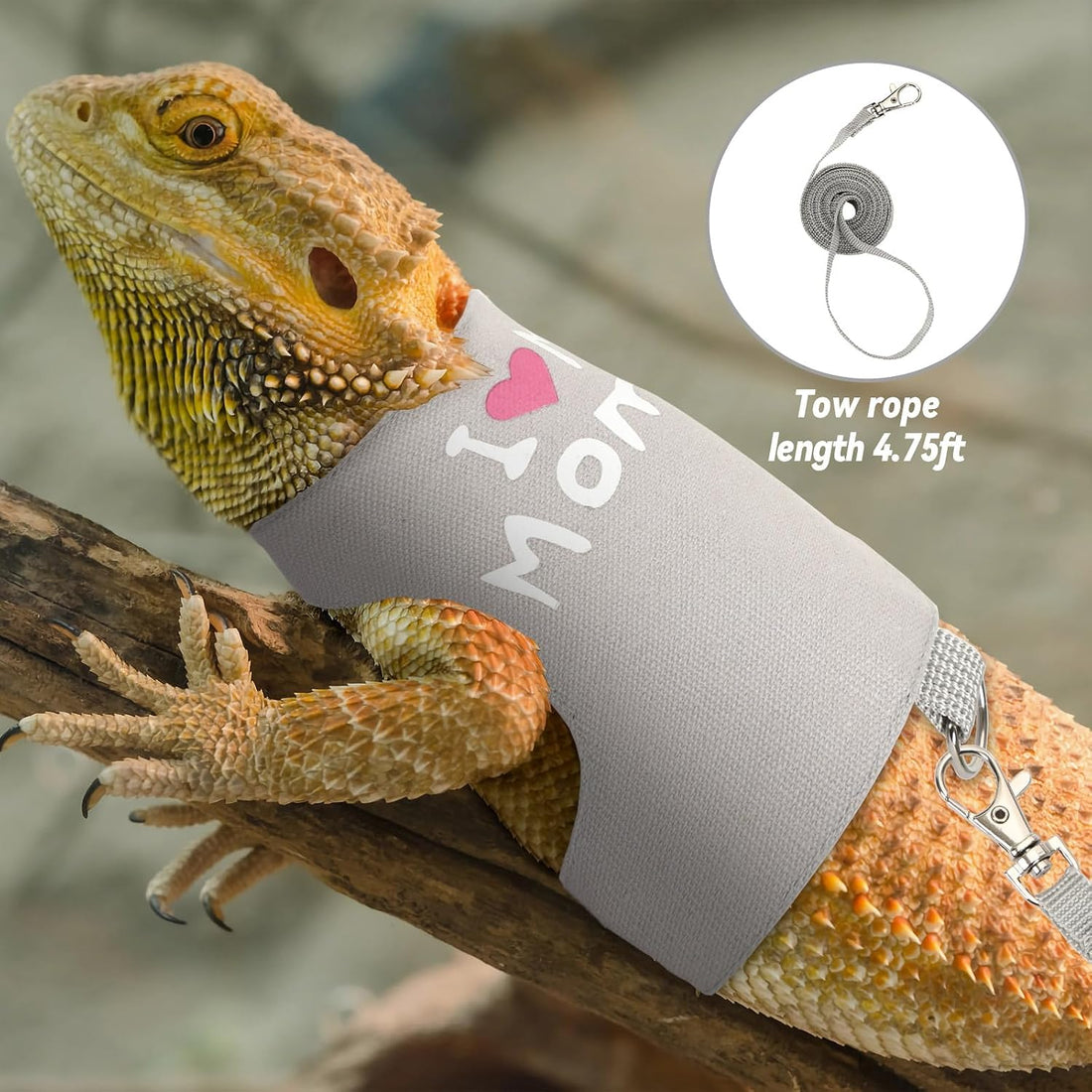 PETKNOWS 2 Pack Bearded Dragon Harness and Leash Set
