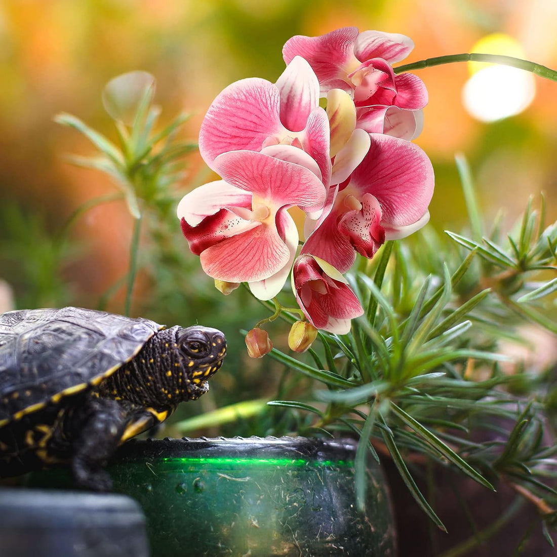 Chuangdi 2 Pcs Artificial Phalaenopsis