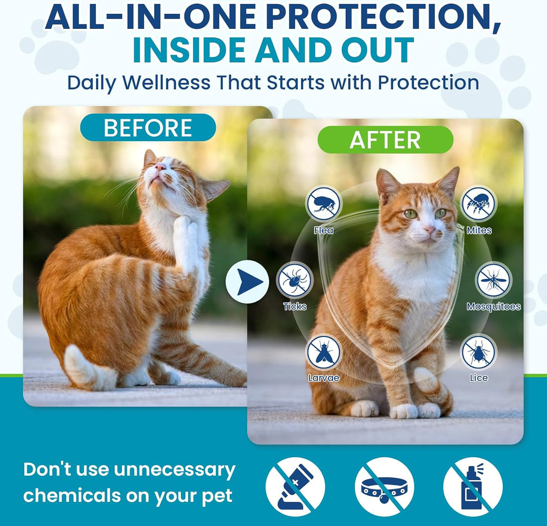 Chewable Flea Treatment for Cats Flea and Tick Prevention for Cats