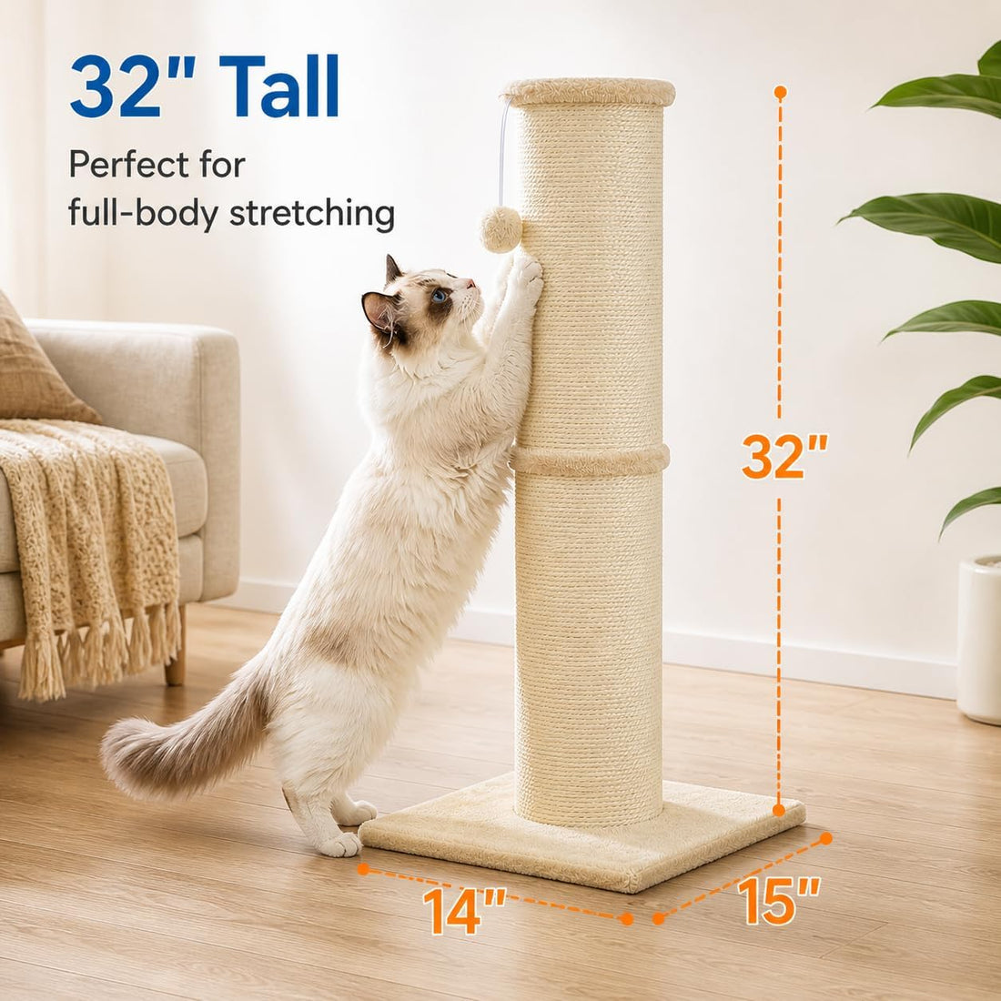 Cat Scratching Post with 5.5 Inch Diameter Sisal Post, 32 Inch