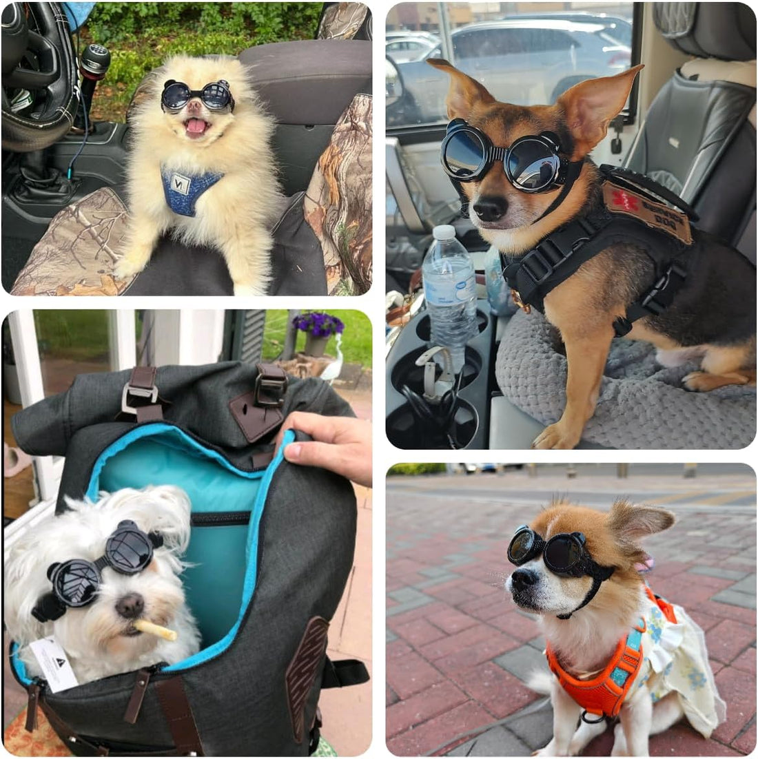 Billionchains Dog Goggles for Small Breed UV/Wind/Dust Protection
