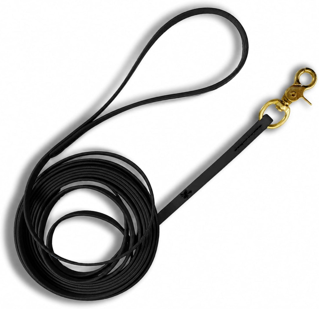 Biothane Long Line, Made in USA, 20ft x 3/8"