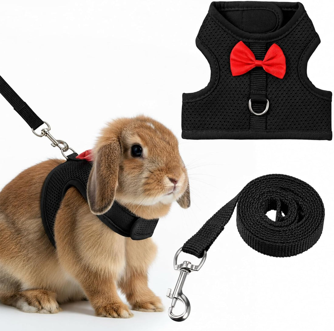 Bunny Harness and Leash Set Cute Bow Rabbit Leash Harness Set Escape