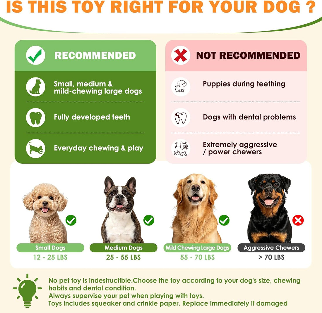WOWBALA Dog Squeaky Toys Stretchable Crocodile for Interactive Tug