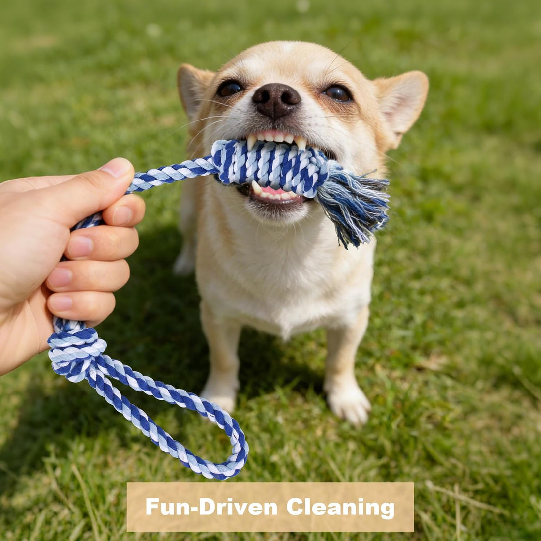 Depets Dog Rope Toys for Small Dogs