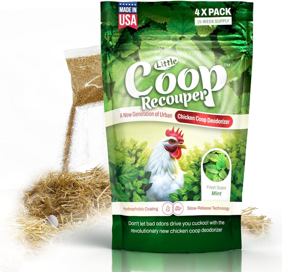 Little Coop Recouper | a New Generation Of Urban Chicken Coop