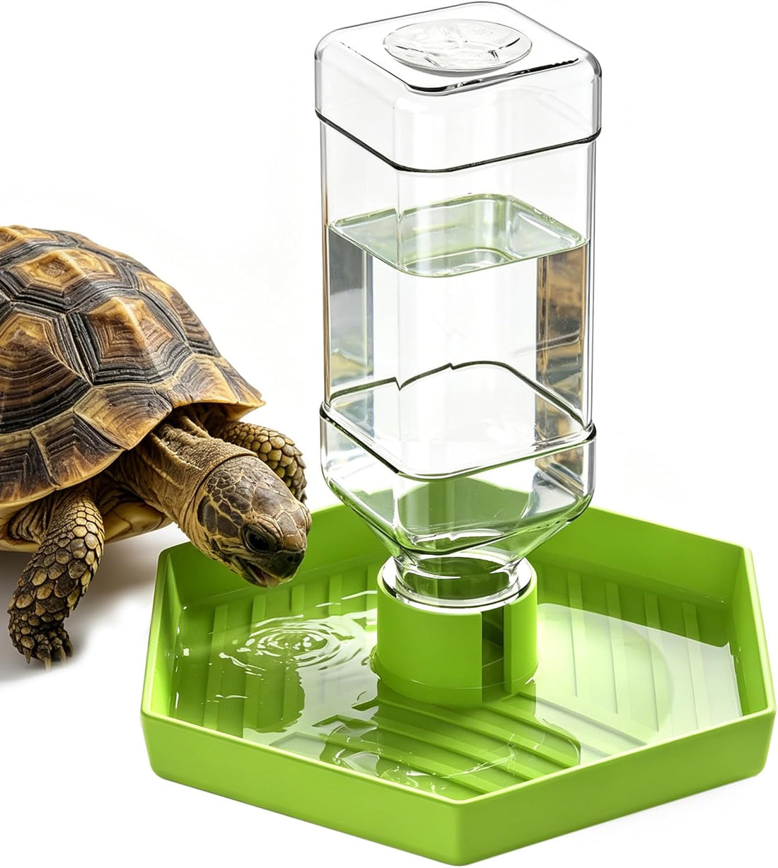 Reptile Water Dispenser Bowl for Bearded Dragon Tortoise