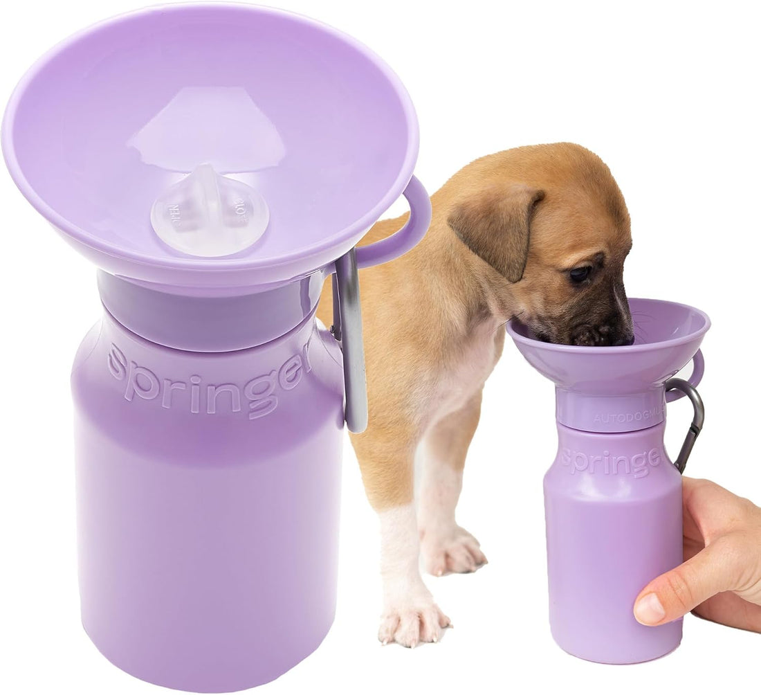 Springland Classic Portable Dog Water Bottle with Built-in Bowl