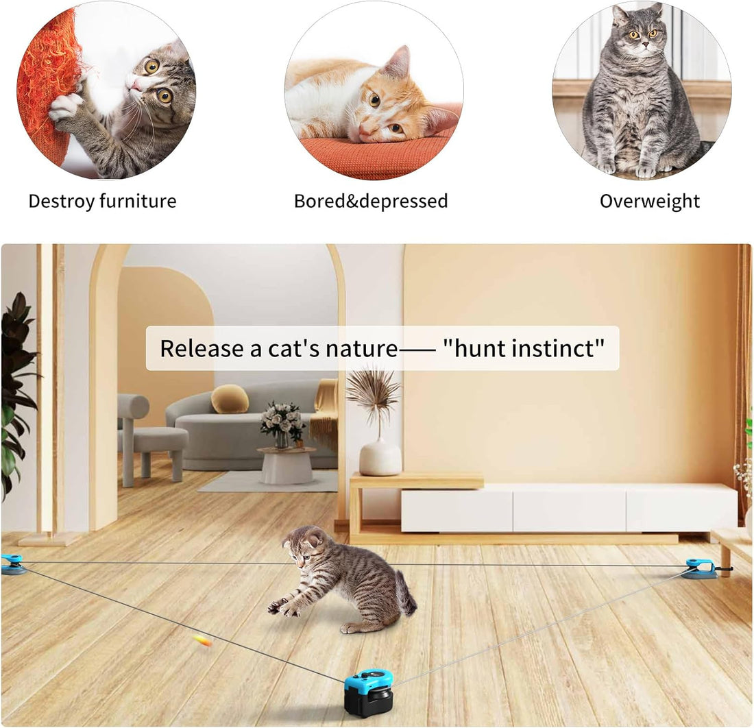 AsFrost Upgraded Interactive Cat Toy for Indoor Cats