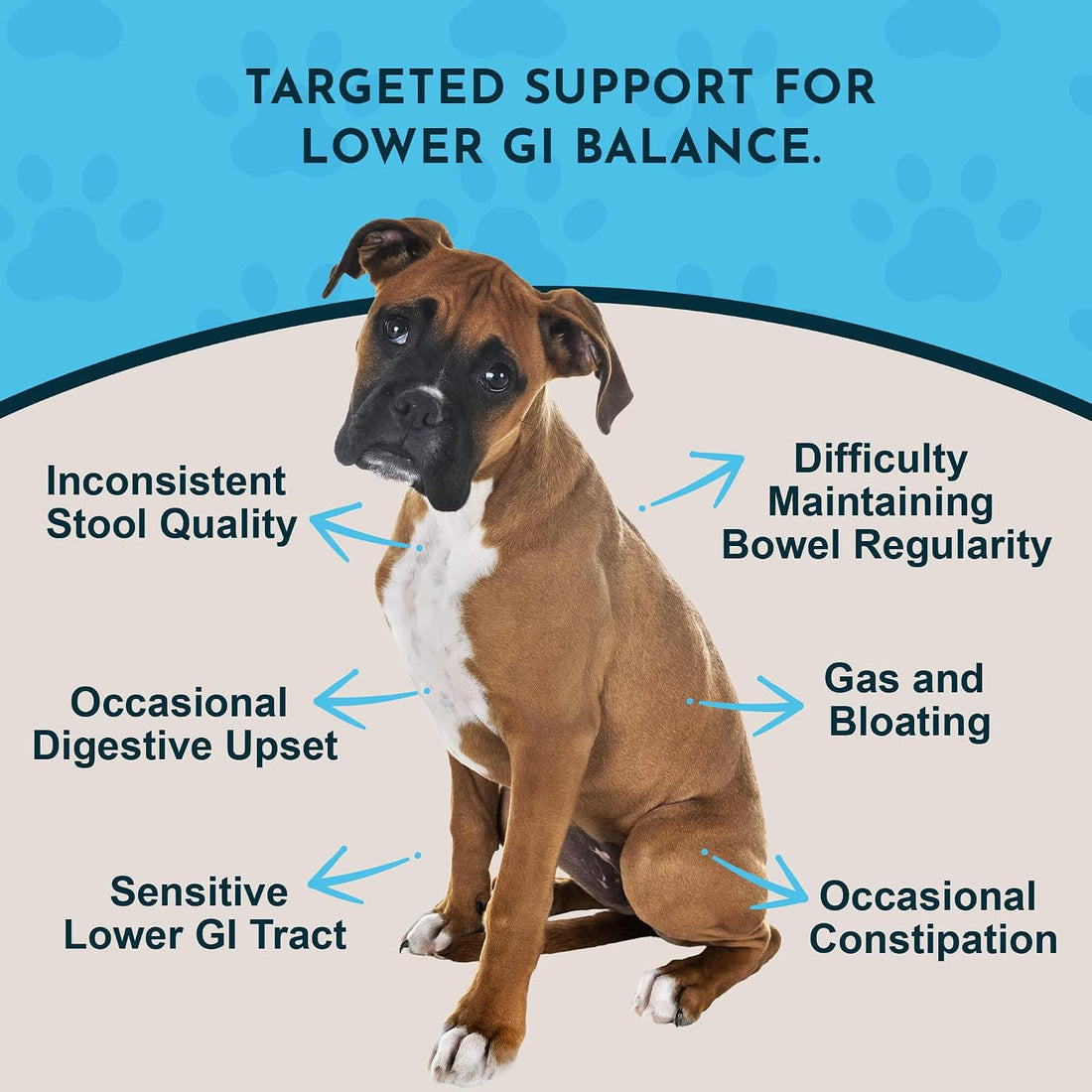 Animal Essentials Colon Rescue Dog Stool Softener - 2 fl Oz