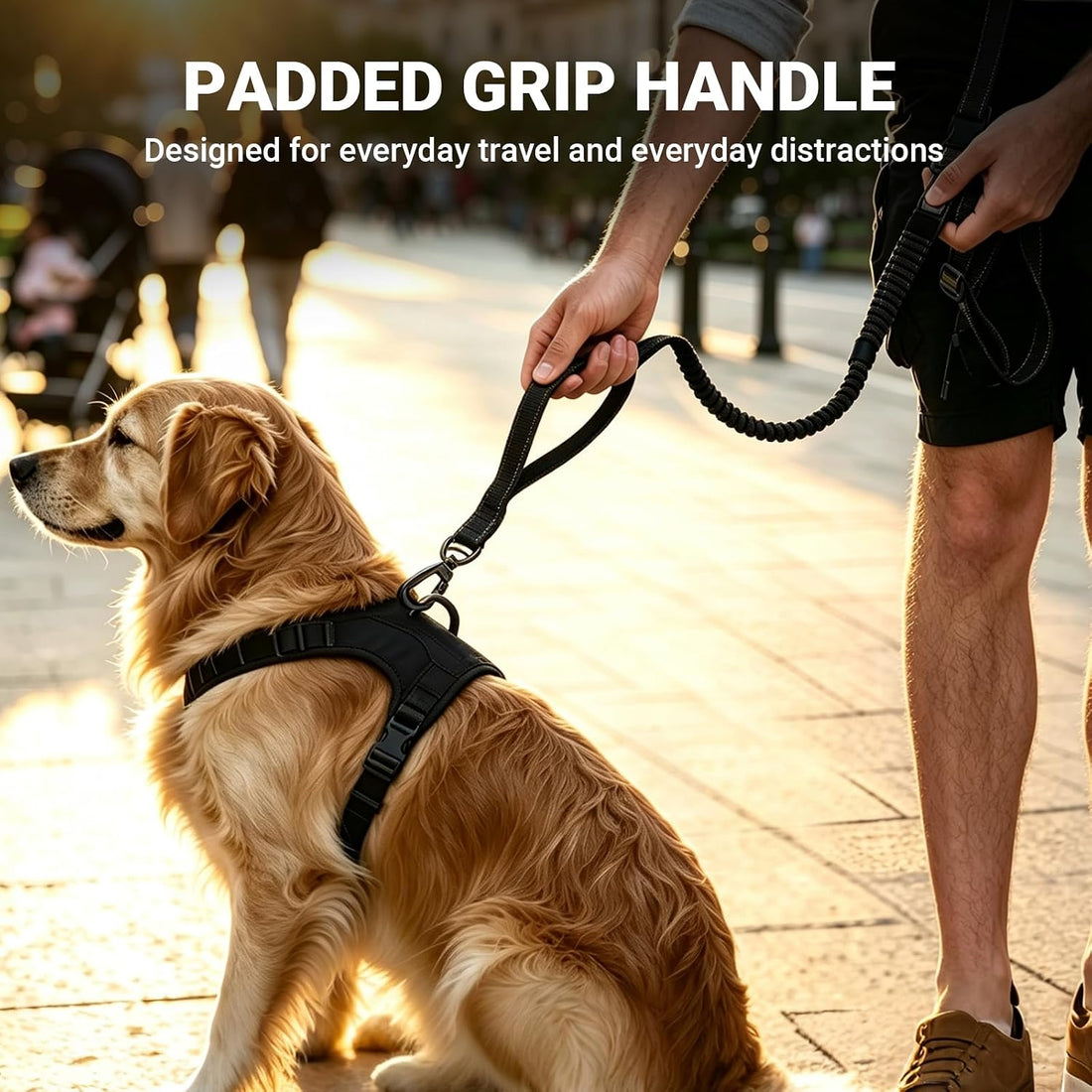 Hands-Free Dog Leash,Adjustable Waist Belt for Walking Running Hiking